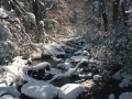 photos_winter4