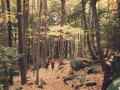 photos_fall2