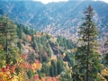 photos_fall3