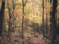photos_fall4